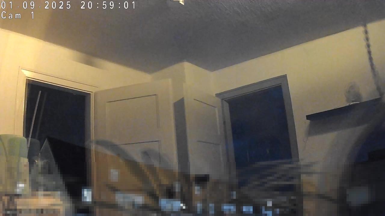 Webcam 2