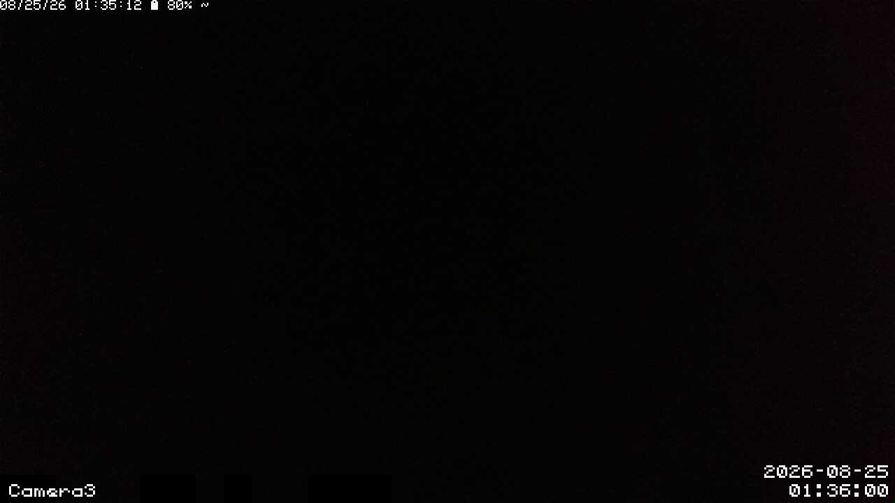 Wettercam Live