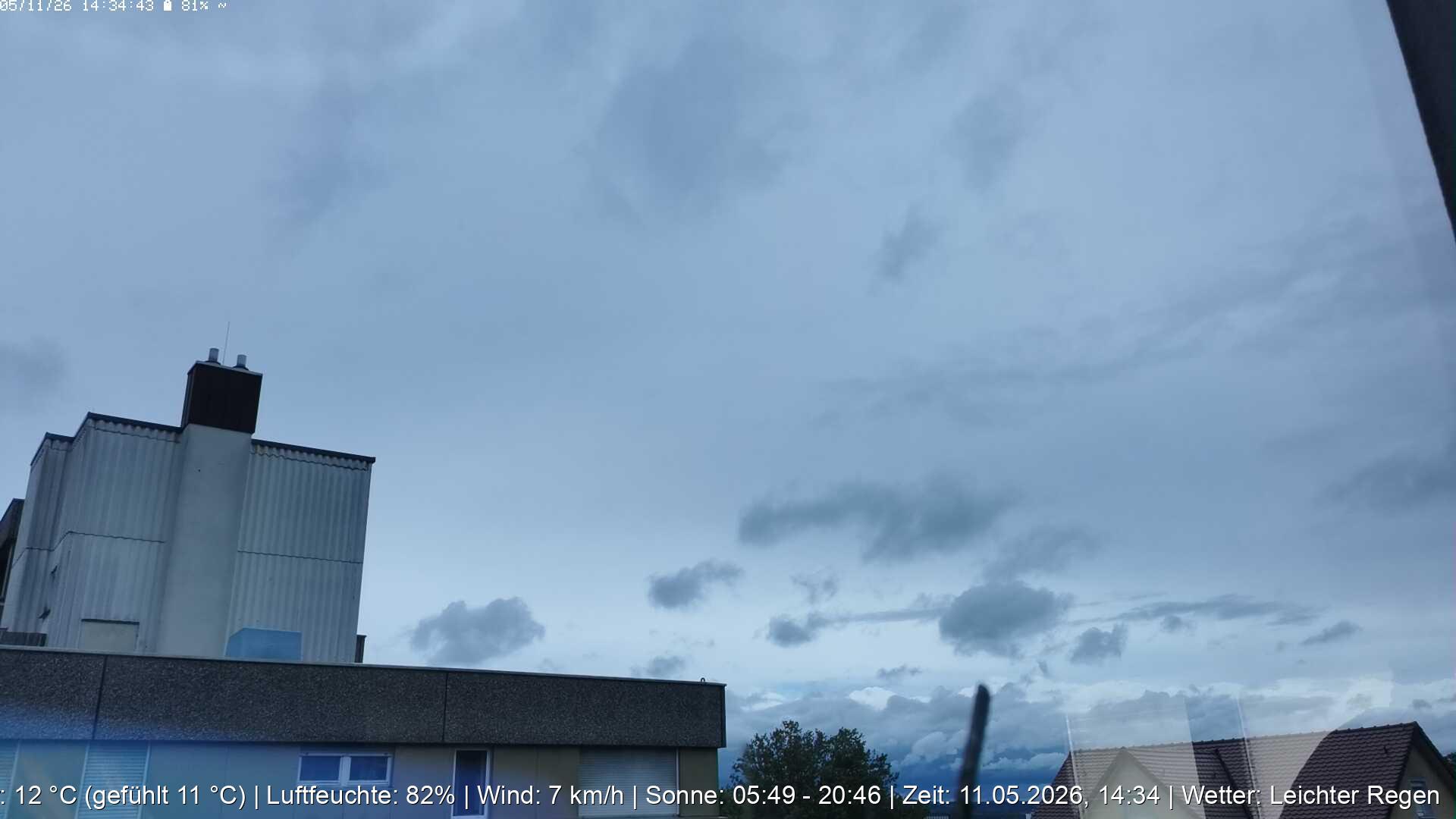 Handycam Live