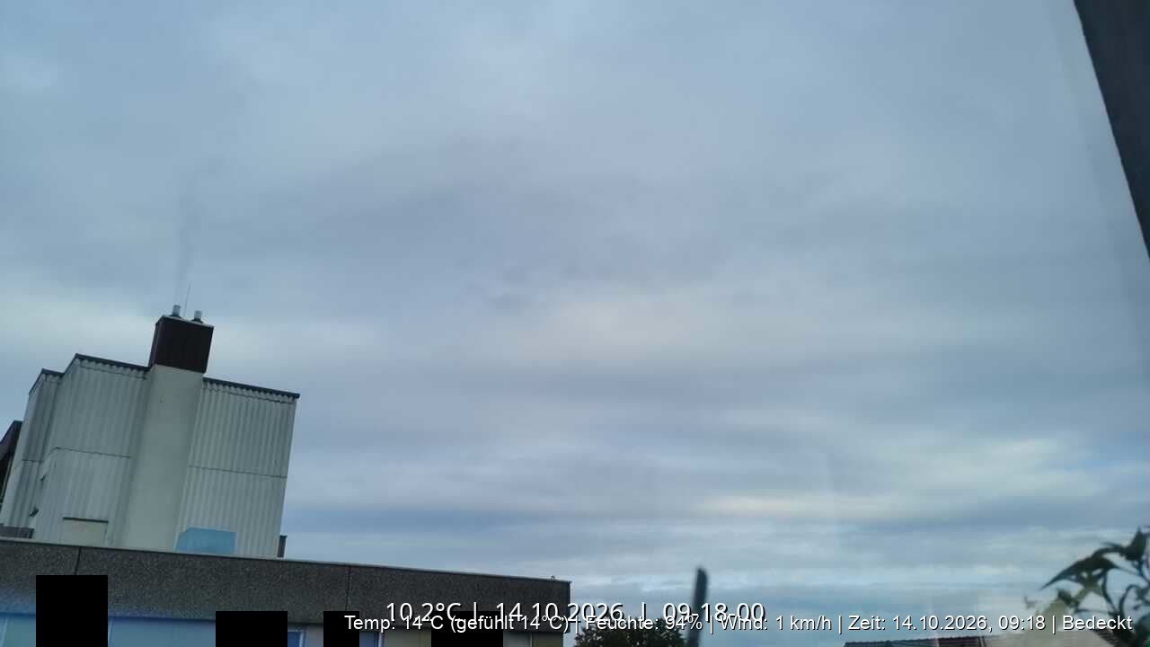 Handycam Live