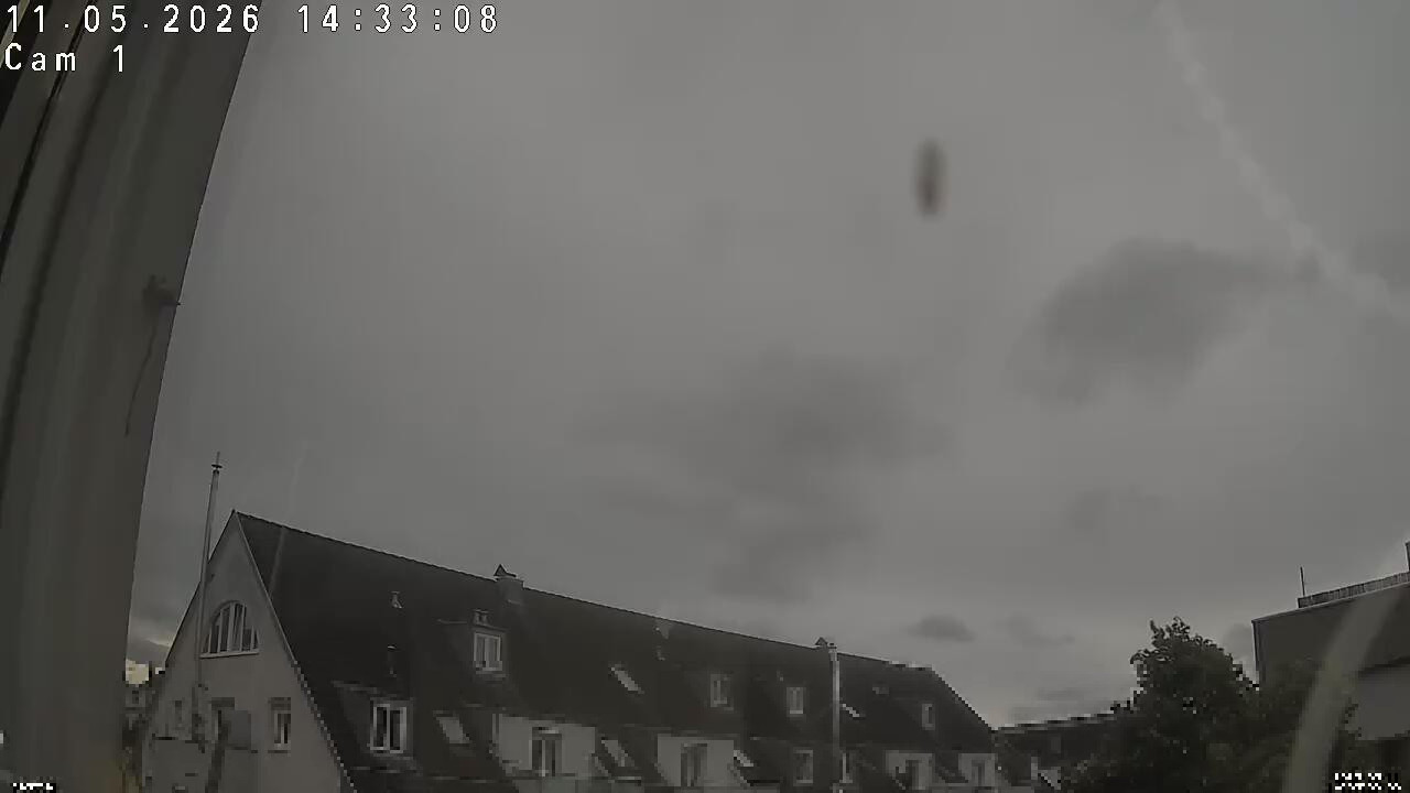 Webcam