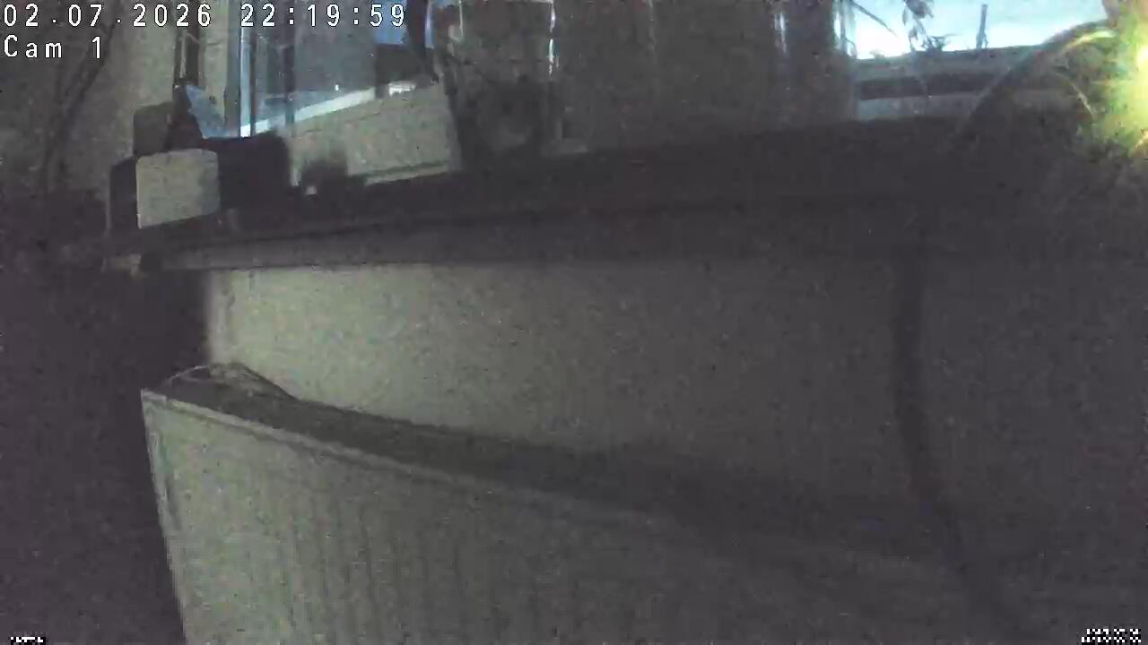 Webcam